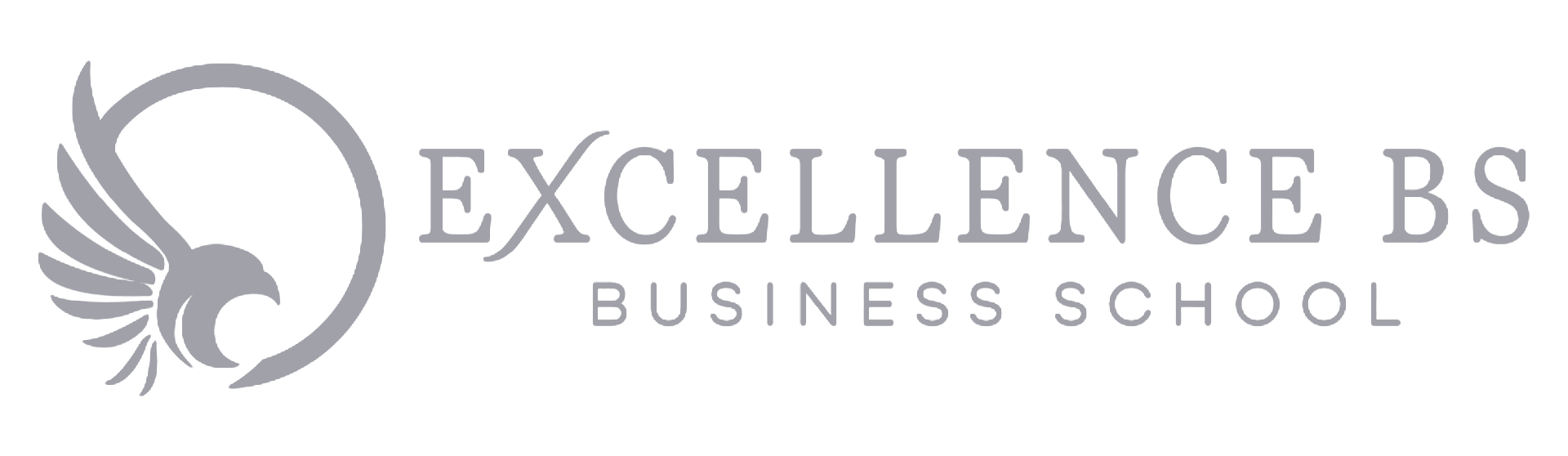 Excellence BS Business School