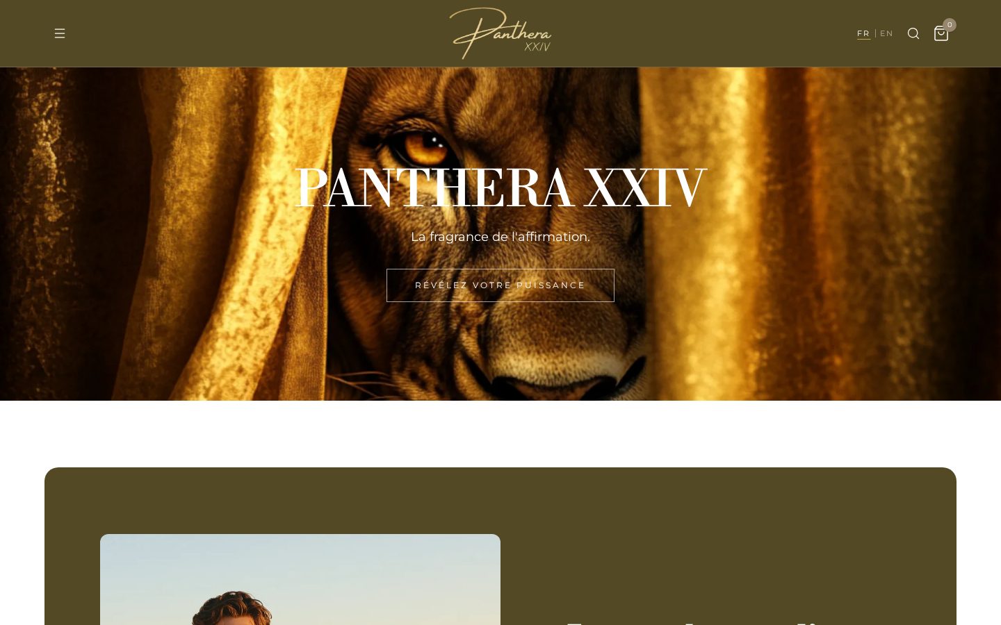 Aperçu du site Paris Panthera